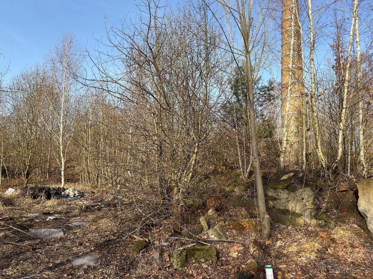 Za odvoz dřevo v celých délkách nařezat. - 2