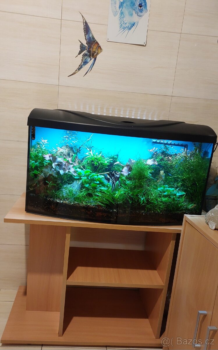 Akvárium i se stolkem - 2