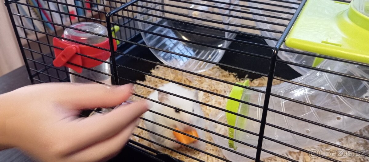 Křeček s domečkem a klecí - 2