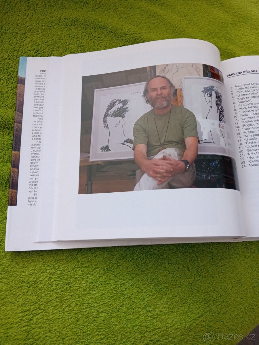 Antonín Vojtek - MALÍŘ JIŽNÍ MORAVY - 2