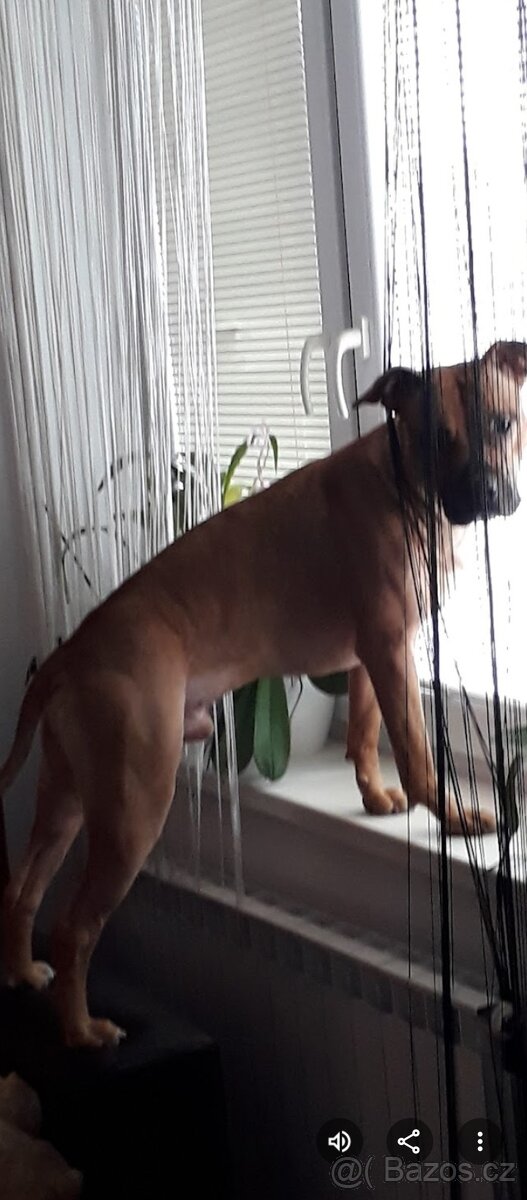 Nabídka je krytí - 2