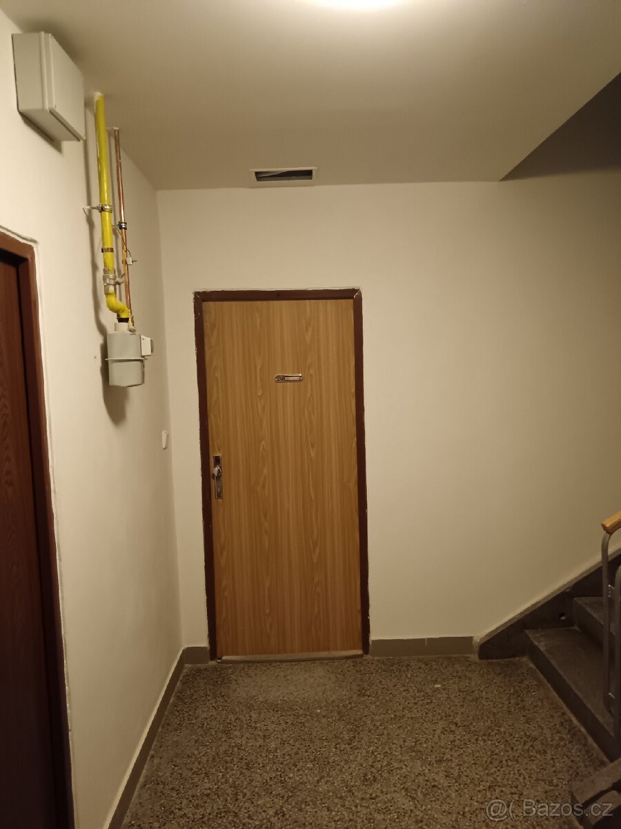 Bezpecnostni dvere - 2