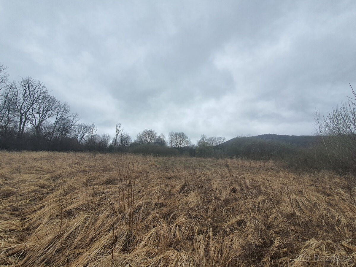 Prodej louky, Bořetín, Česká Lípa. - 2