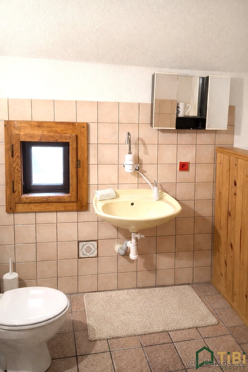 Pronájem bytu 1+1 30 m², Kamenná Horka, ev.č. 00263 - 2