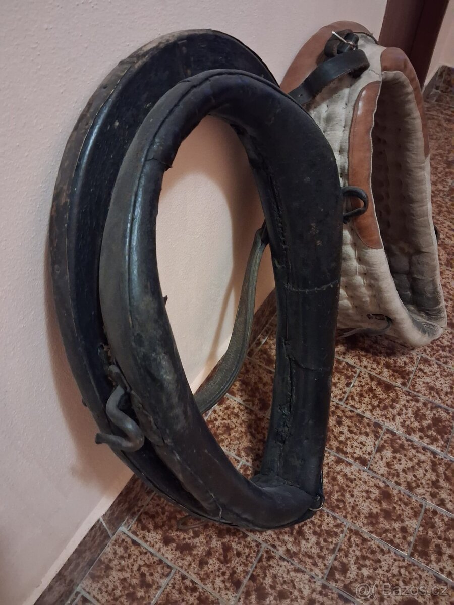 2 chomouty s pobočky - 2