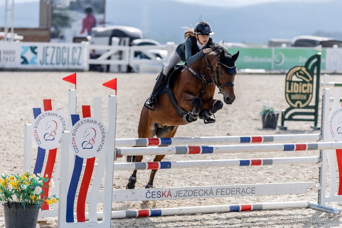 Sportovni pony B - 2