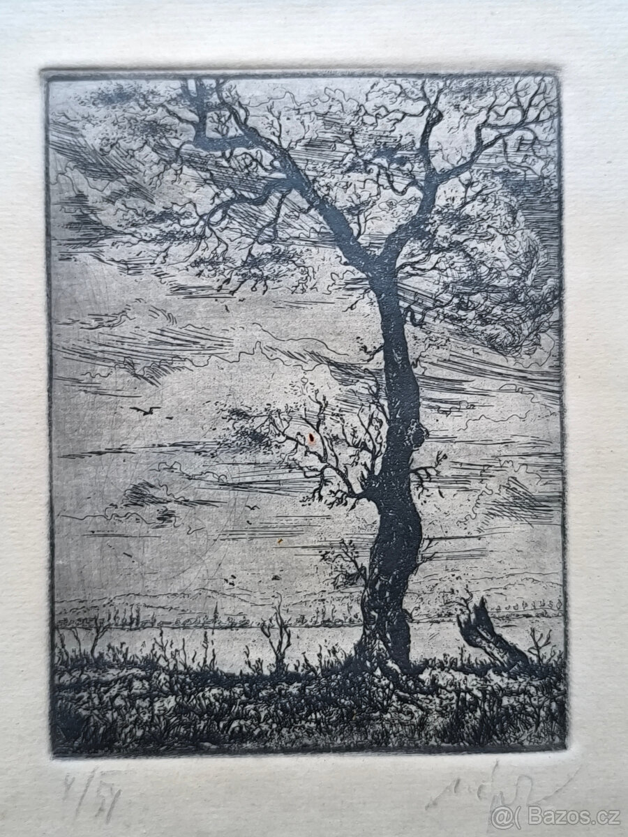 Starý obrázek,grafika 50.léta,podpis autora,číslo série,orig - 2