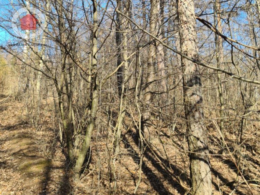 Prodej pozemku, Vápenky, 654 m2 - 2