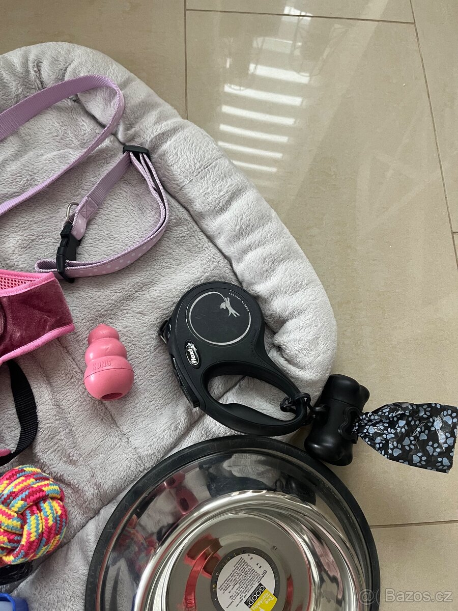 11 ks sada pro fenku - 2