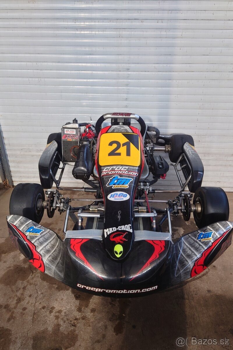 Rotax max 125 senior - 2