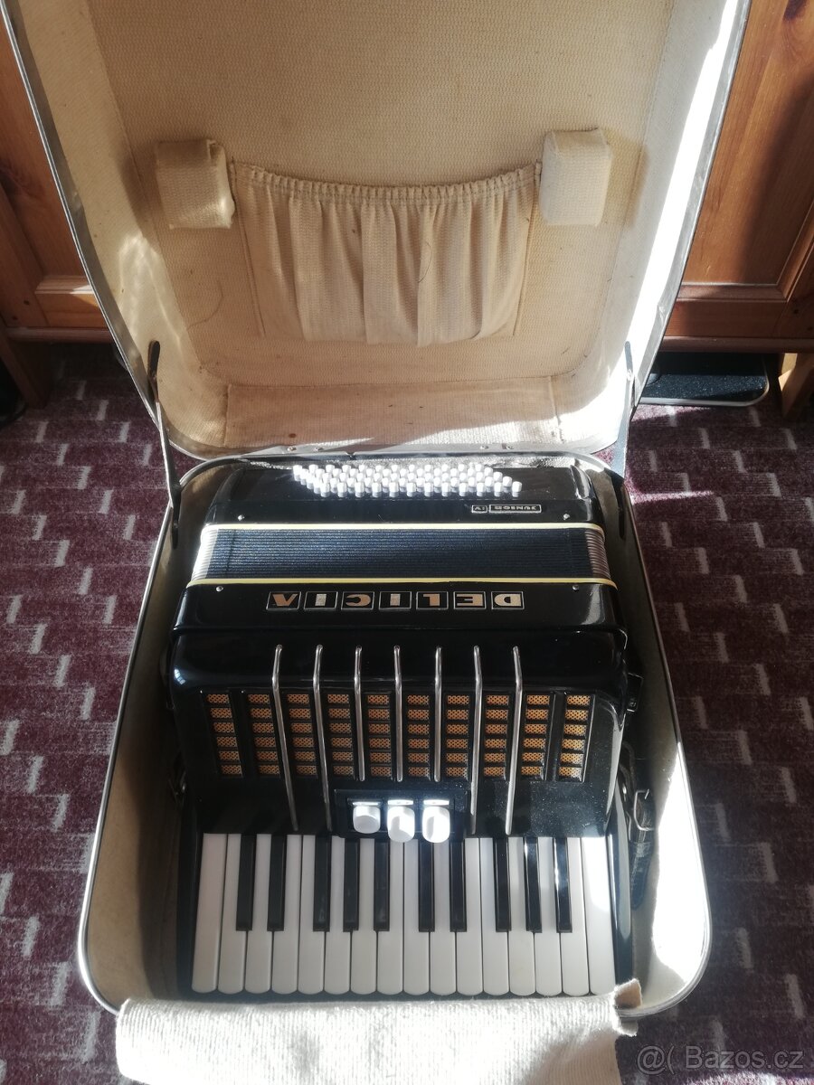 Akordeon - Harmonika Delicia 60 basů + kufr - 2