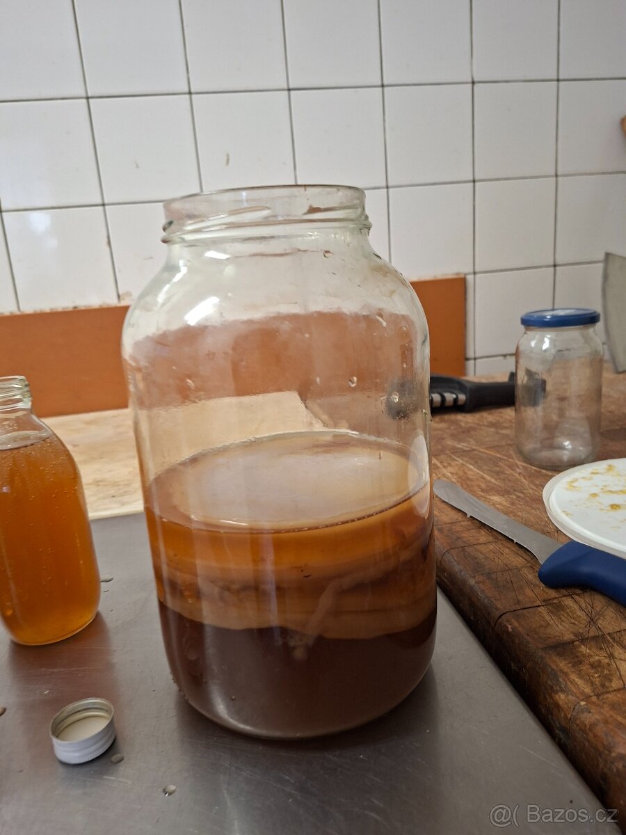 Kombucha - 2