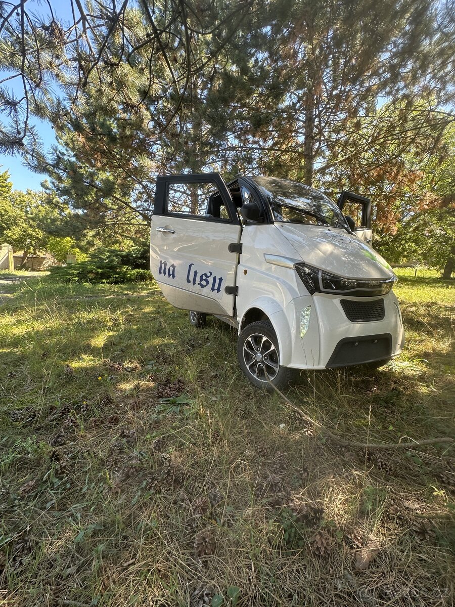 elektro pick up mini auto - 2