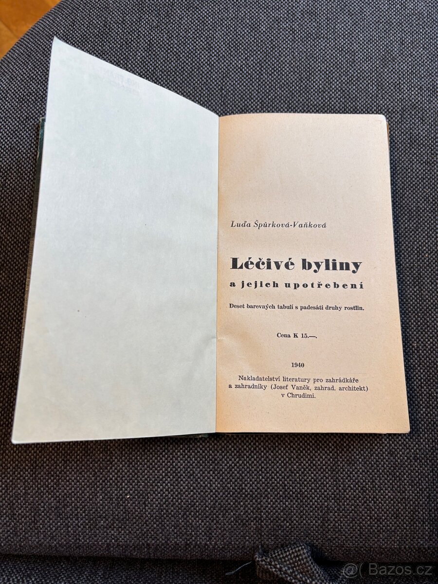 Léčivé byliny - 2