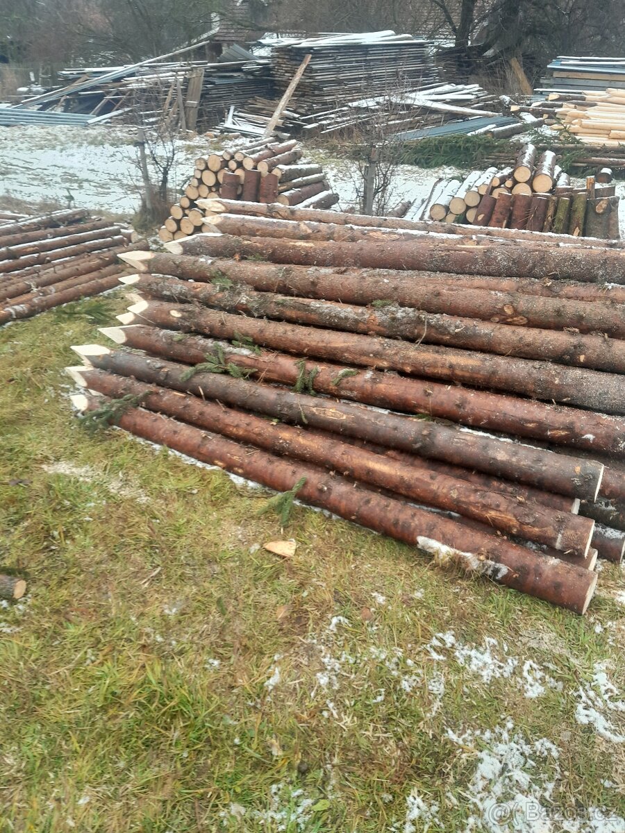 Smrkové kůly - 2