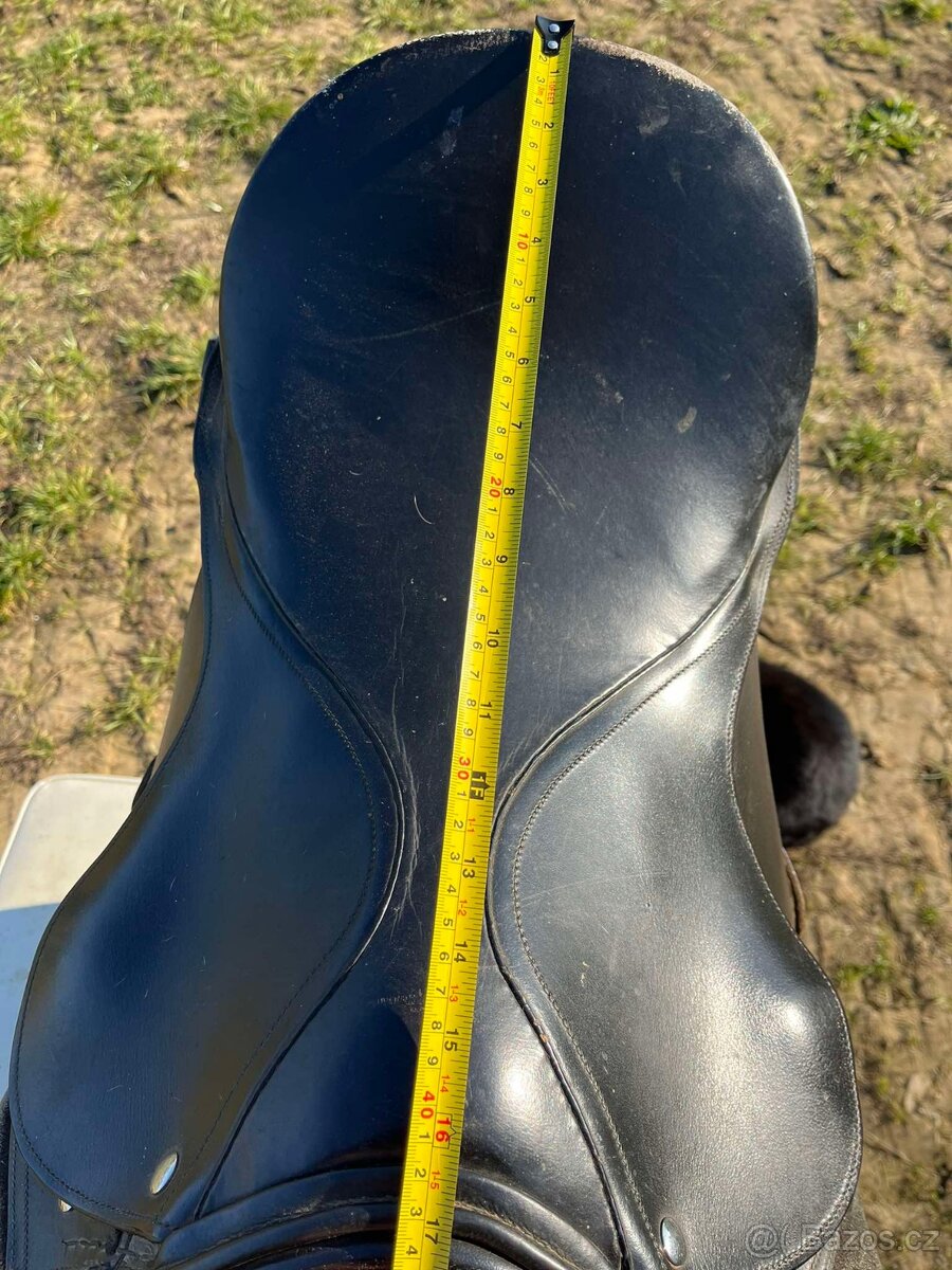 Anglické černé sedlo - 2