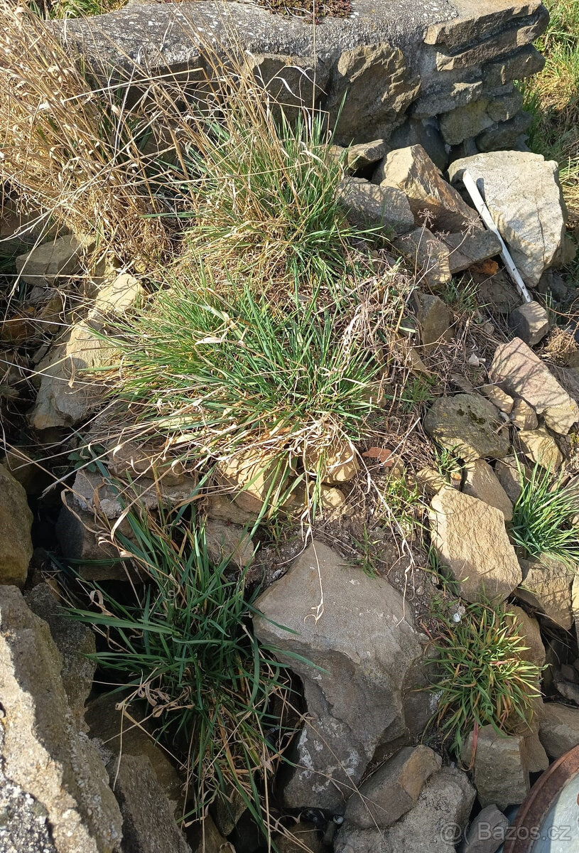 Kameny-kamení za odvoz - 2