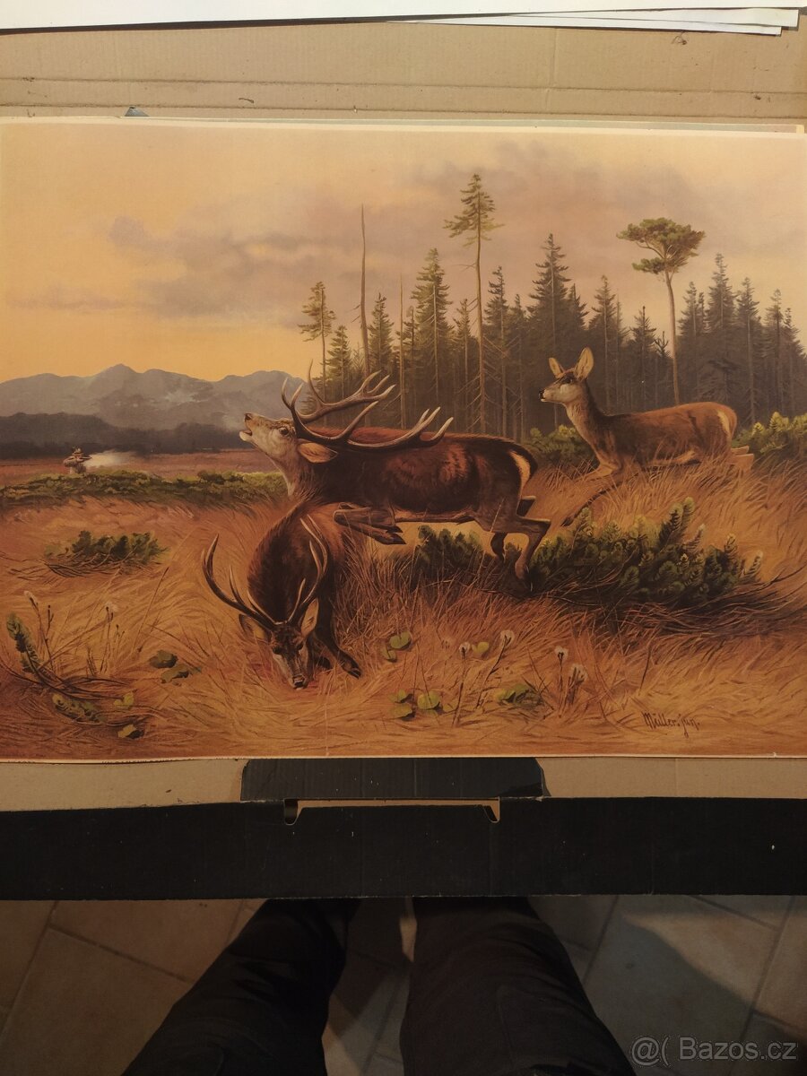 Obrázky s mysliveckou tématikou - 2