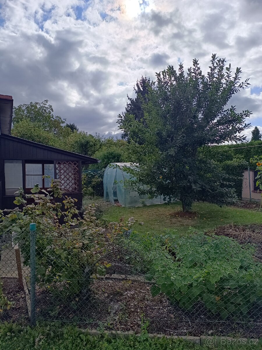 Pronajmu zahradu - 2