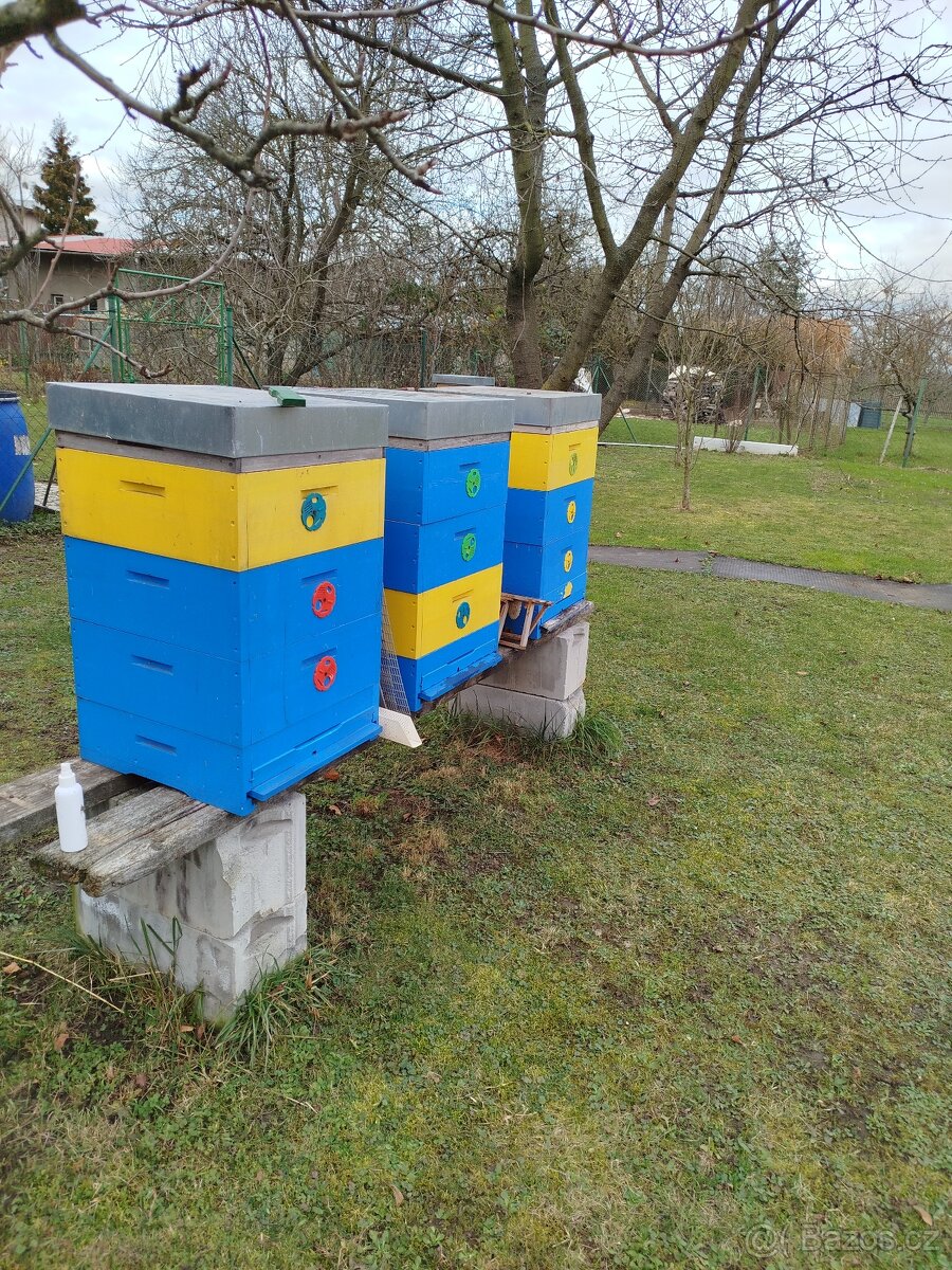 Prodej včelstva 39x17 - 2