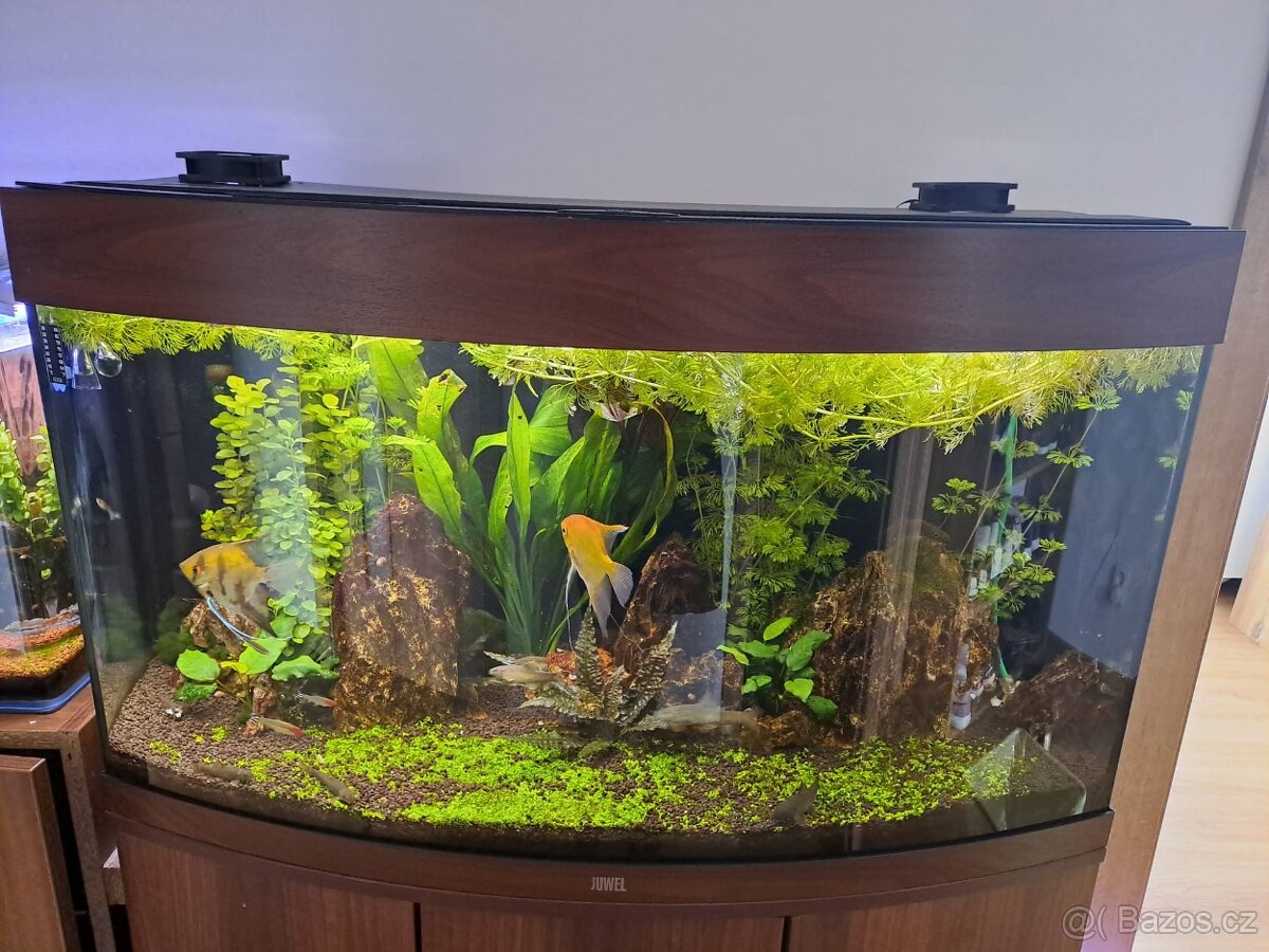 Akvárium 180 l - 2