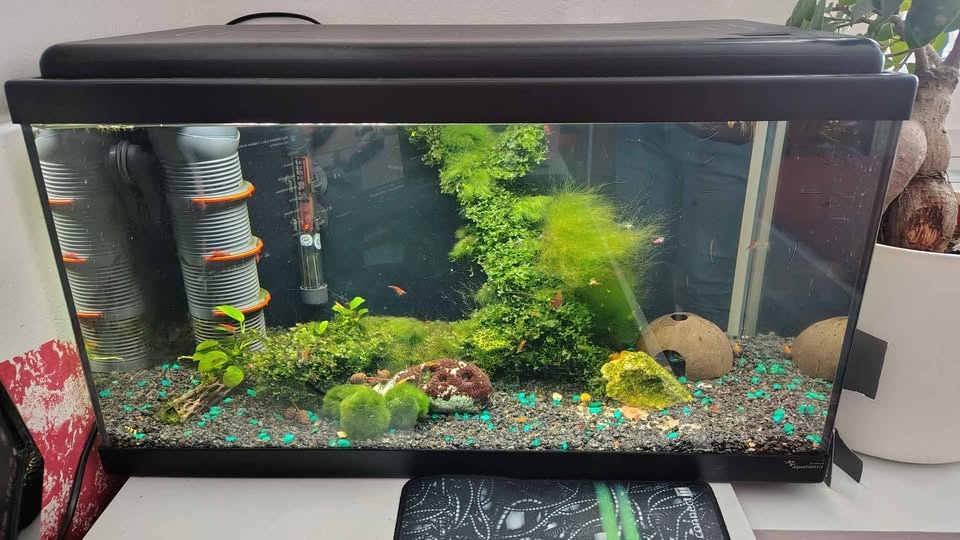 Akvárium Set 60x30x34 cm 60litru - 2