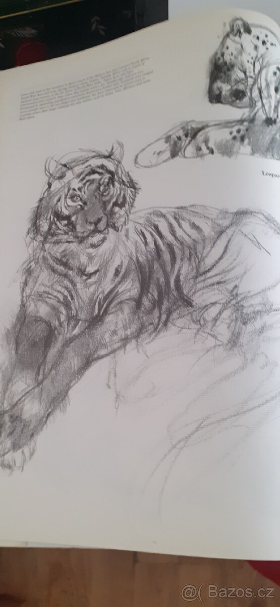 Drawing Animals kreslení zvířat - 2