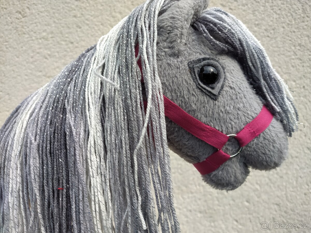 Hobby horse se stříbrnou hřívou - 2