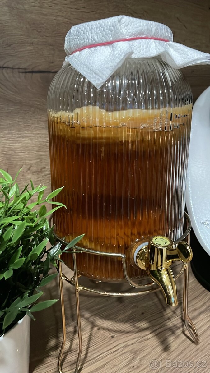 Kombucha plus startér - 2