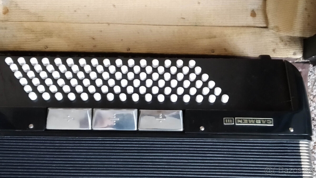 Akordeon Delicia III - 2