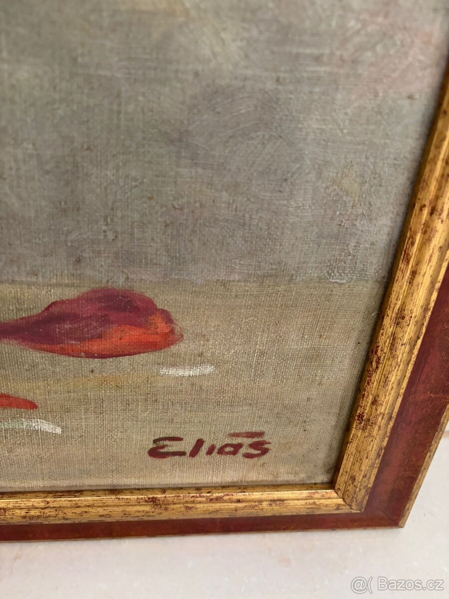 Obraz Eliáš - Ostrava, Praha - 2