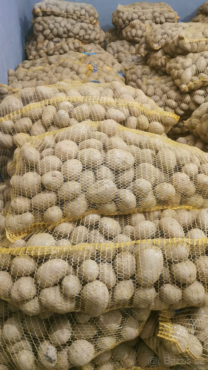 Prodám brambory - 2