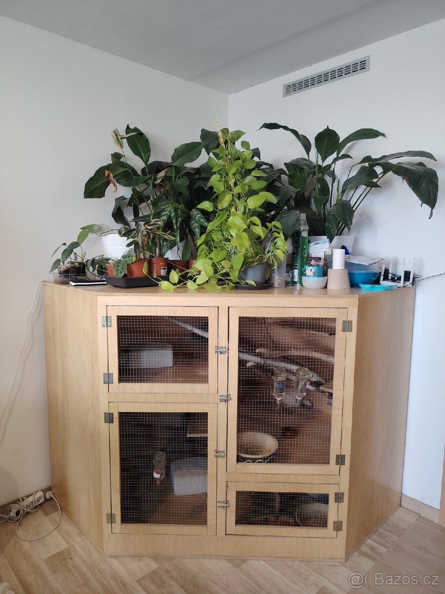 Skříňoklec pro činčily – masiv, obří prostor, nová - 2