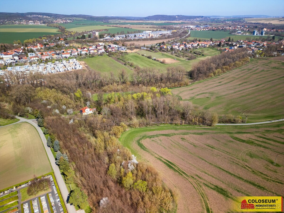 Rousínov - Čechyně, stavební parcela, 7 787 m2 – pozemek - 2