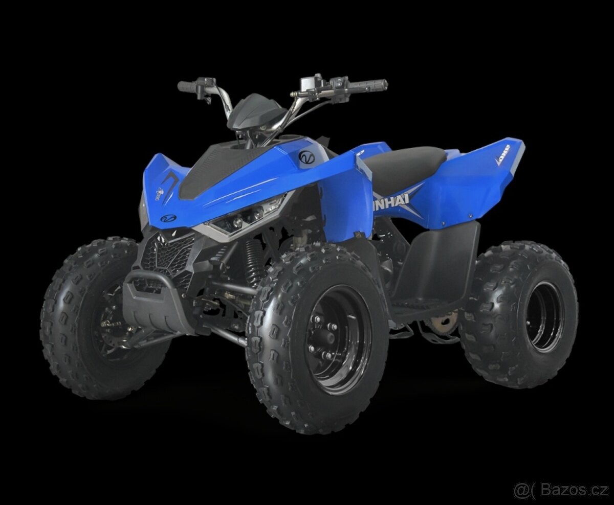 LINHAI ATV 110 2X4 EFI CE