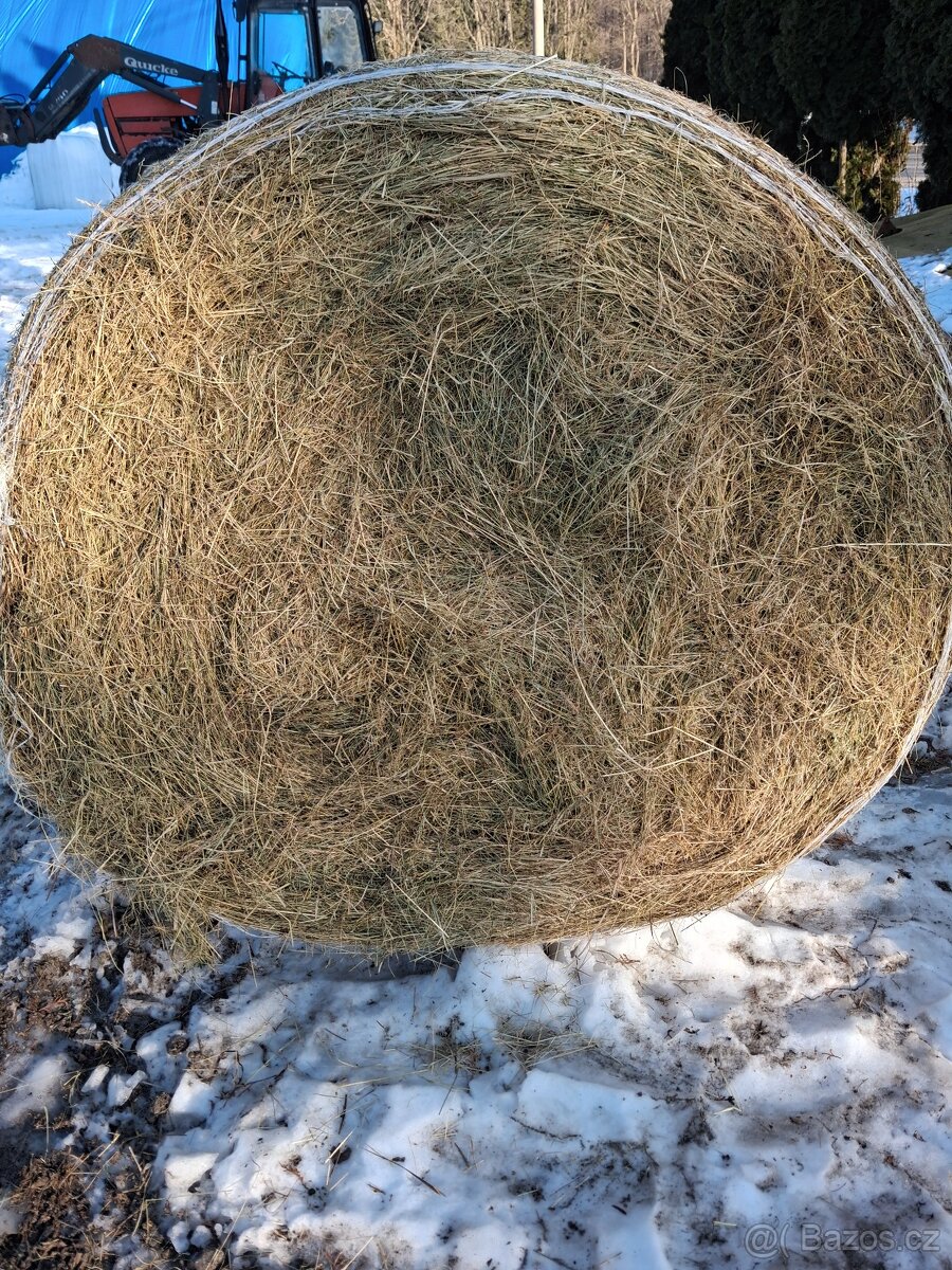 Prodám seno - 2
