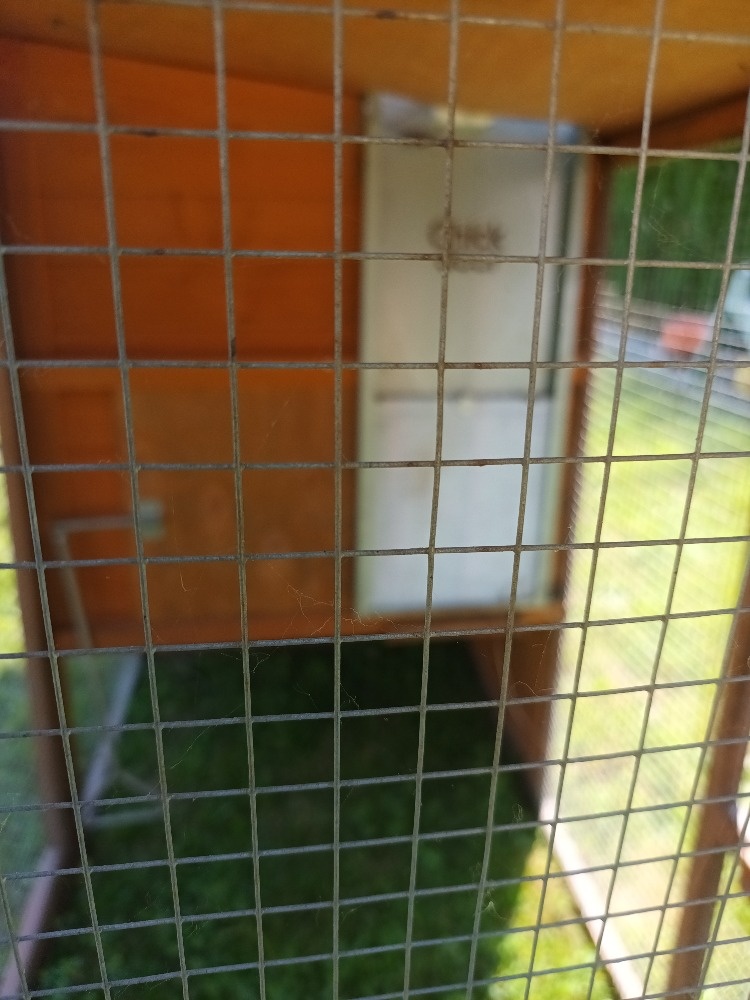 Kurník + automatická dvířka - 2