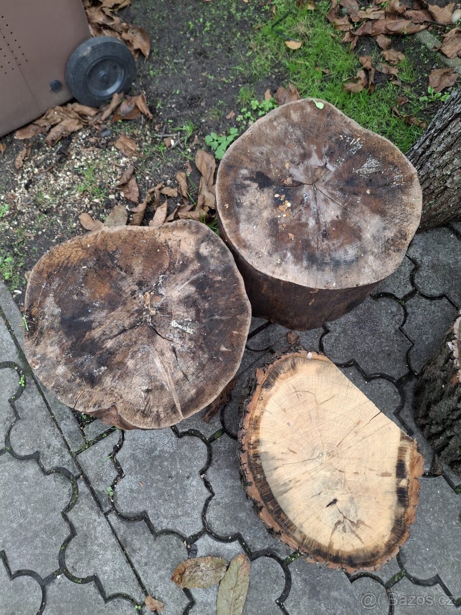 dubové špalky 5 kusů - 2