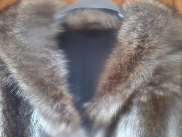 kožich mýval, norek - 2