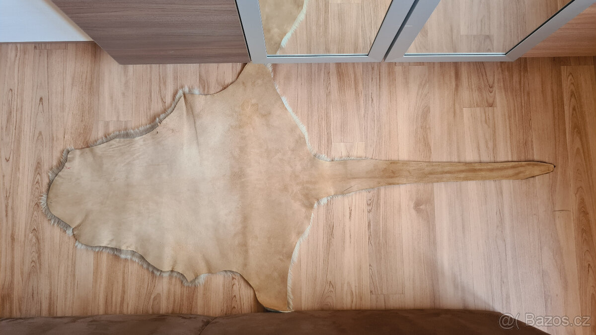 Pravá klokaní kožešina z Austrálie (3) - 2