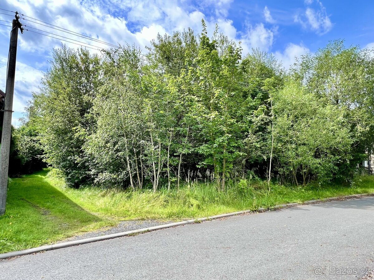 Prodej, stavební pozemek, 1458 m2, Vysočany u Boru - 2