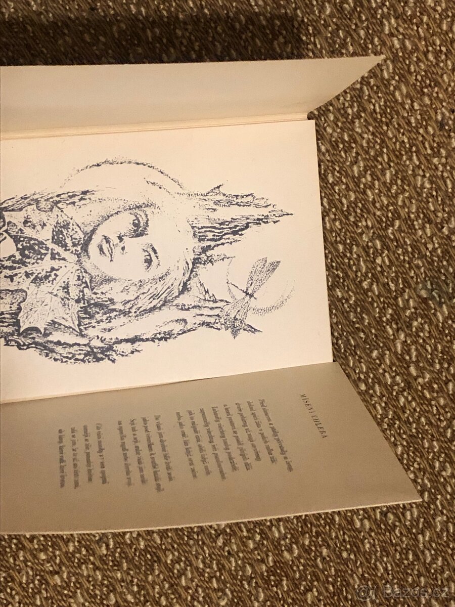 Desanka Maksimovic: Odkaz a jiné básně - 2