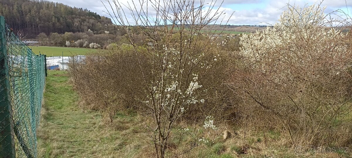 Prodej stavebního pozemku Rosice, CP 1043 m² - 2