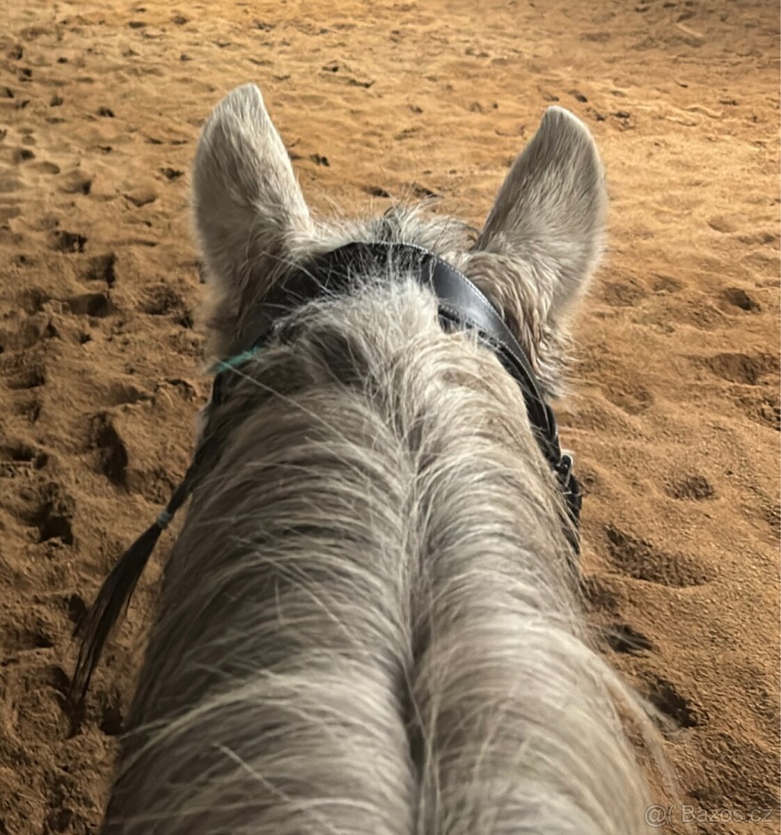 Částečný pronájem - 2