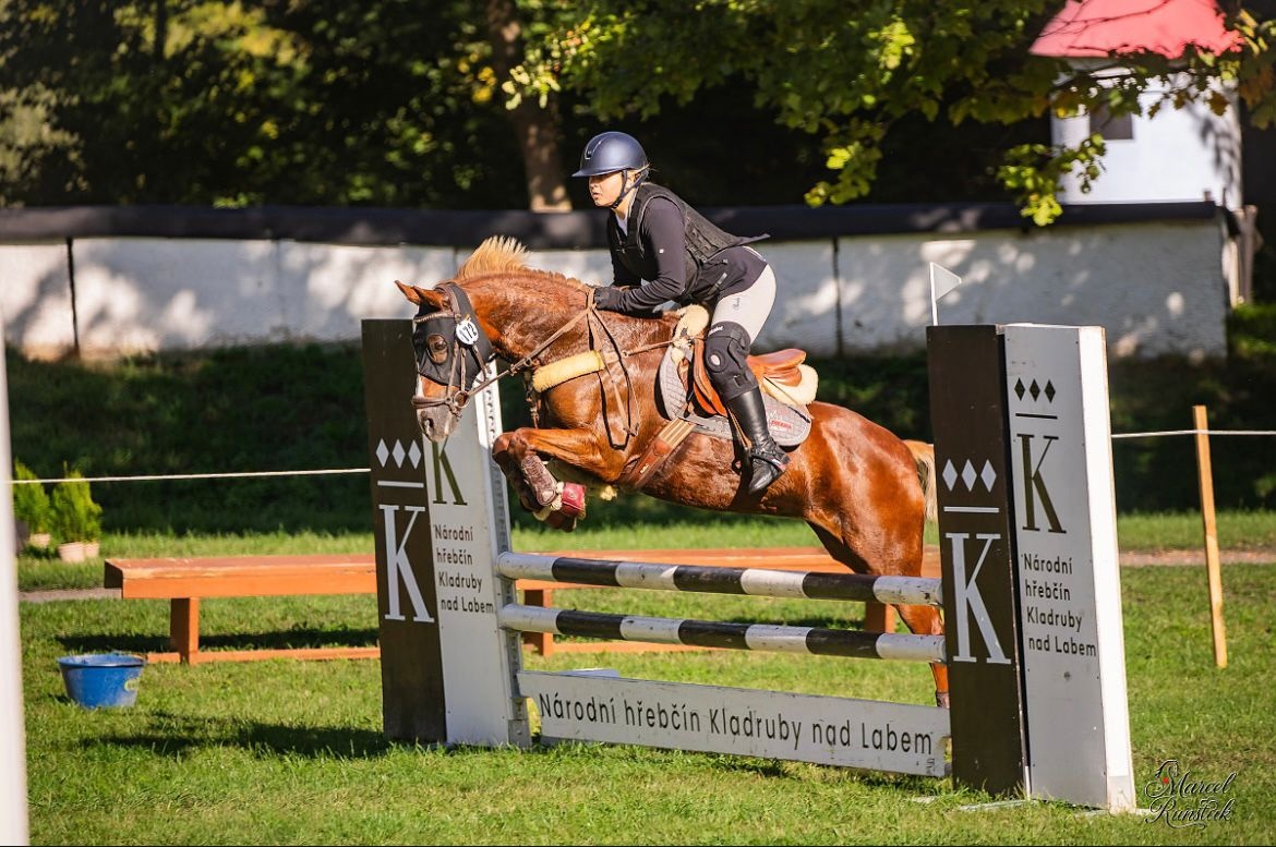 Pony B do sportu - 2