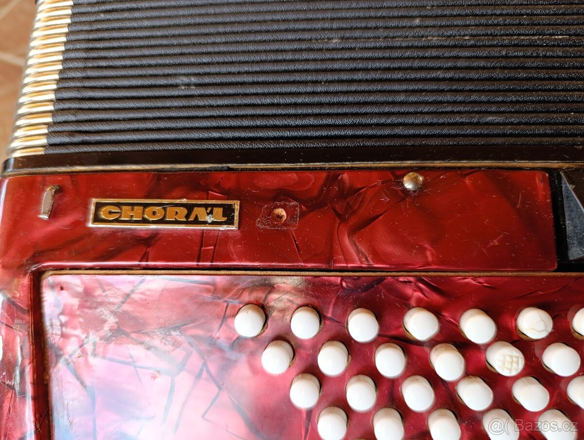 Akordeón delicia - 2