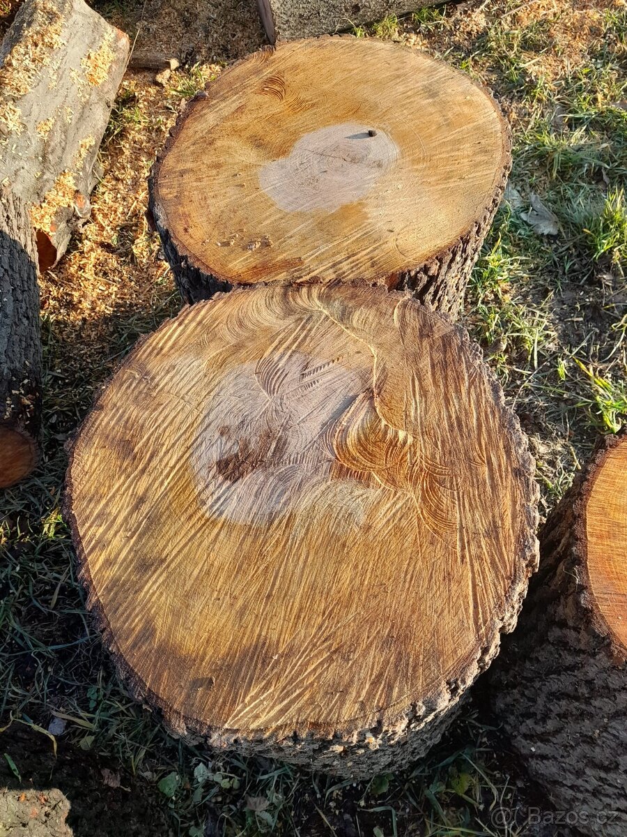 Prodej dřeva - 2