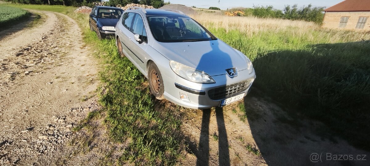 Peugeot 407SW - 2