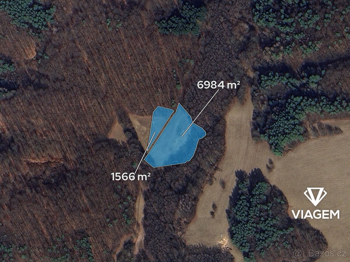 Pole 8 550 m² - 2