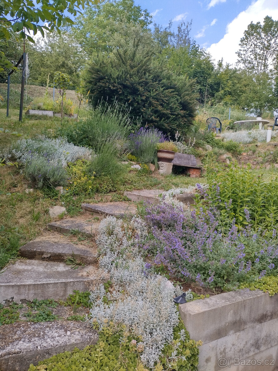 RD s pozemkem 6175m2 Závišice - 2